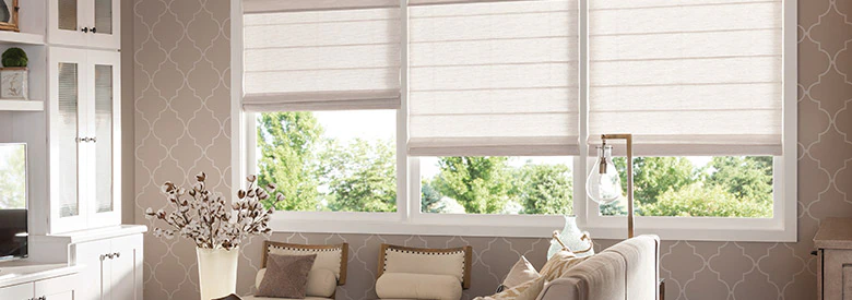 Blinds for Home